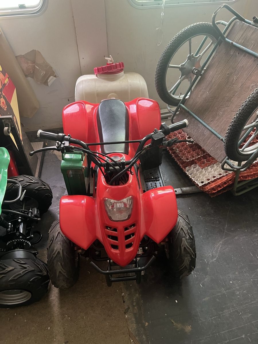 Mini Quad: Quad électrique pour enfants – Nuovo (secondo la descrizione) da fully venduto da carmido