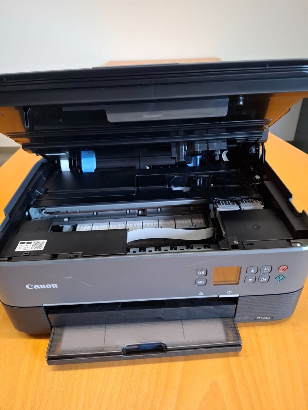 Canon Stampanti: 019 Canon Drucker Pixma TS 5350a – Usato da Derendingen venduto da Meisterstuecke 2