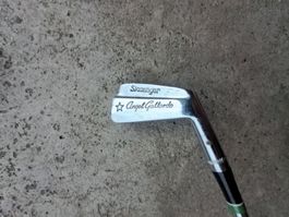 Golfschläger
