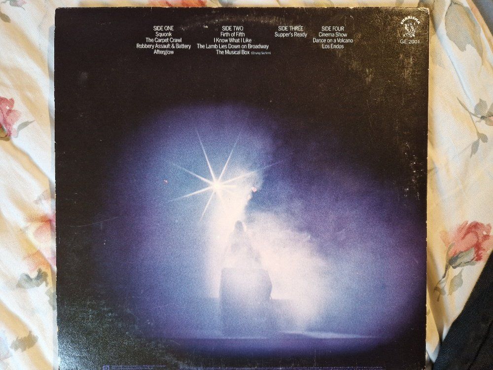 Dischi in vinile: Genesis – Seconds Out – Usato da Brittnau venduto da Zibu 1