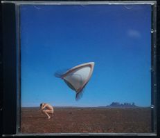 The Cranberries -  Bury The Hatched - CD