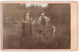 Fotografie Adolf Peters und Adolf Wendt 