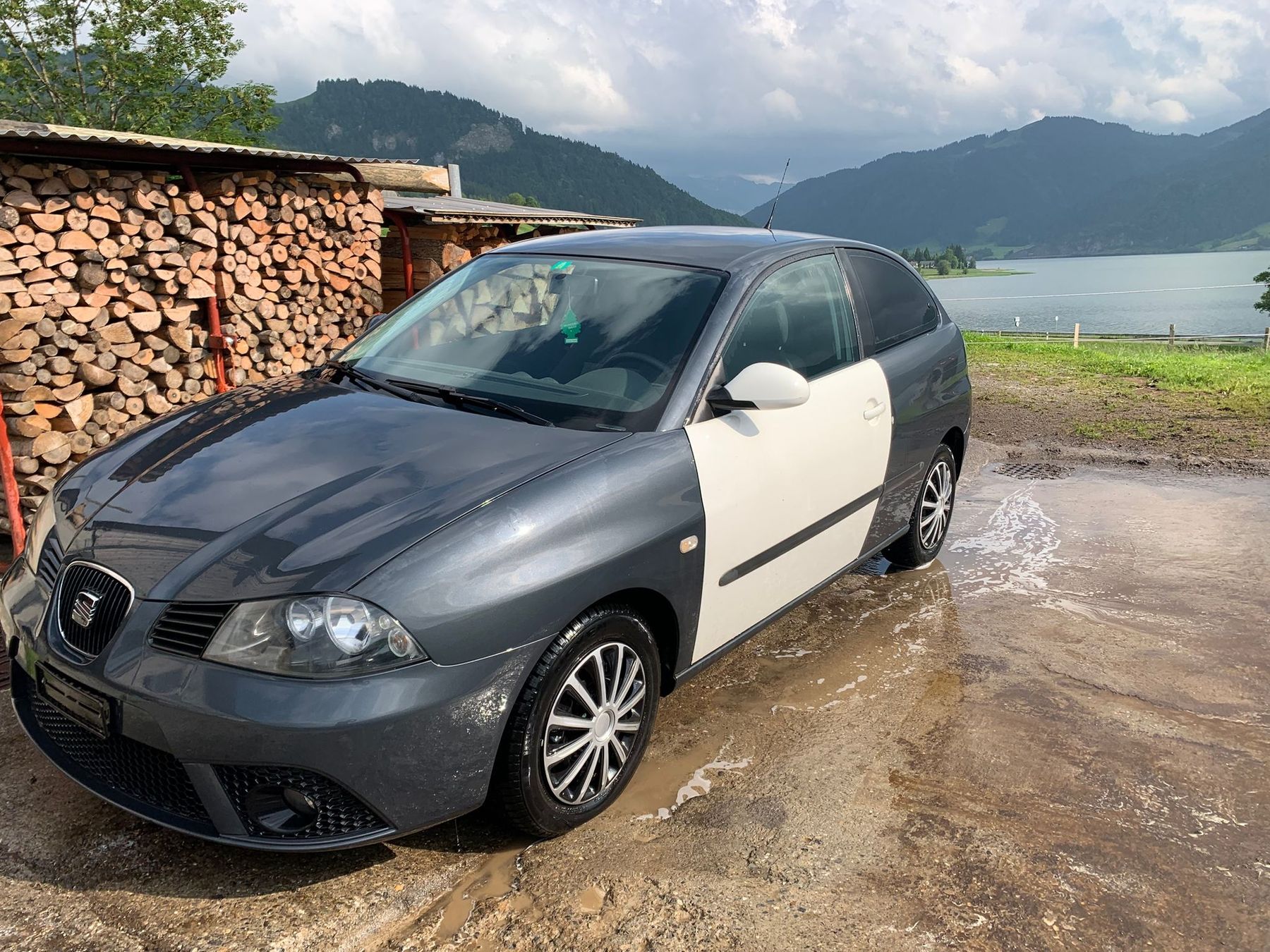Seat Automobili: Seat Ibiza – Usato da Willerzell venduto da tho_d6hn 1