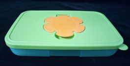TUPPERWARE Feuchttücherbox Taschtücherbox in Blau Grün