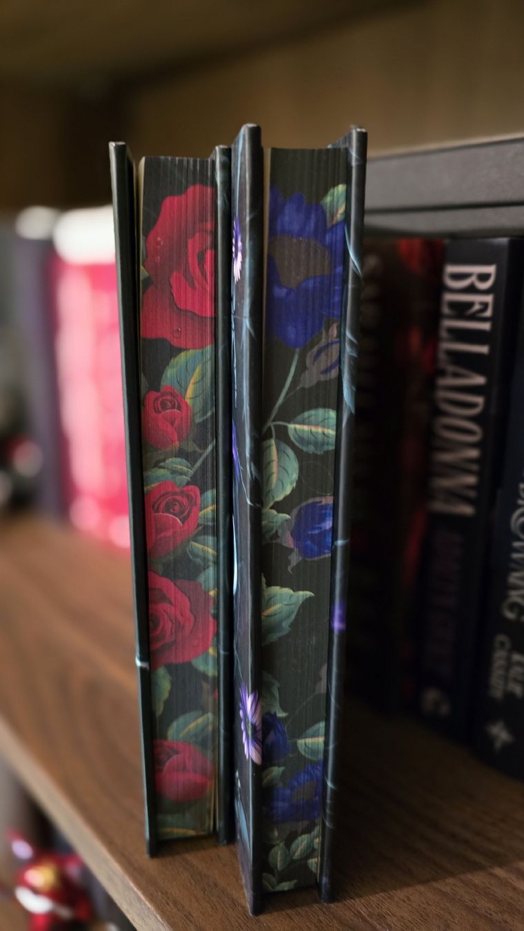 Libri: The coven & The cursed - Special editions – Nuovo (secondo la descrizione) da Monthey venduto da yuk_m2vd 2