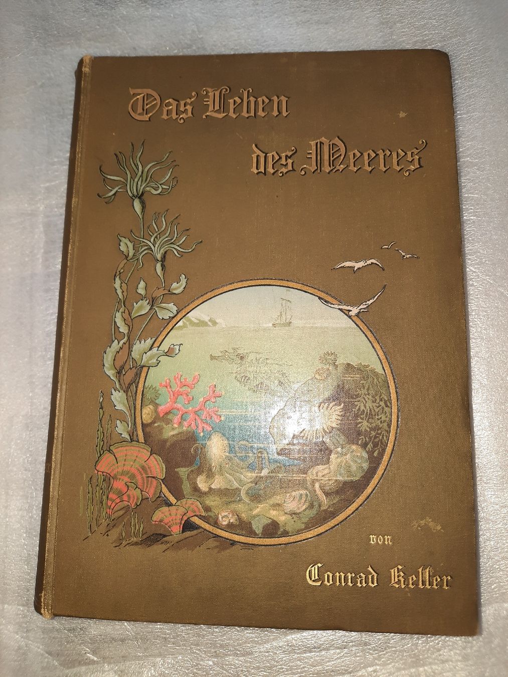 Libri: KELLER, Conrad: Das Leben des Meeres – Usato da Biasca venduto da Old_6blh