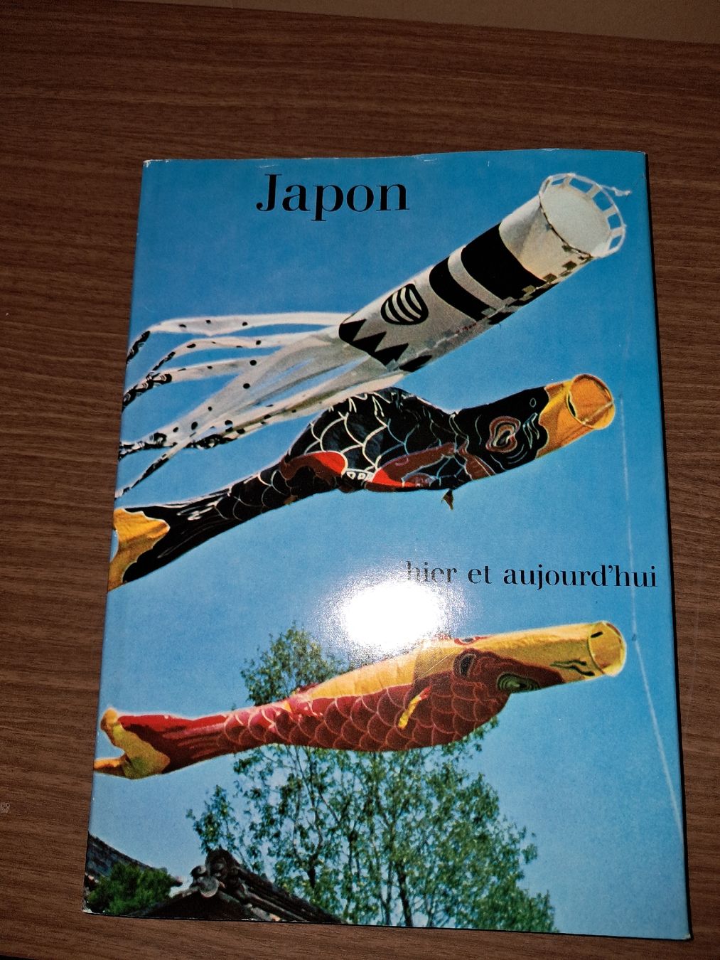 Bücher: Livre sur le japon – Gebraucht aus Le locle von juliensaran
