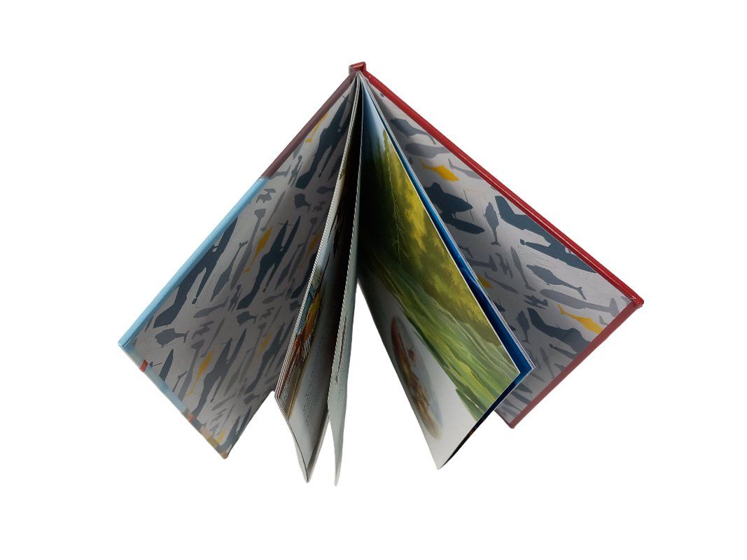 Libri: DISNEY Kinderbuch: Planes 2, Immer im Einsatz – Usato da Hünenberg venduto da Restwert_Zug 3