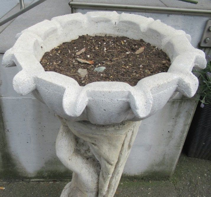 Figur aus Beton Engel mit Schale Kaufen auf Ricardo