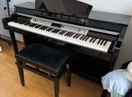 Thomann DP50 Digital Piano mit Hocker. Einsteiger E-Piano!