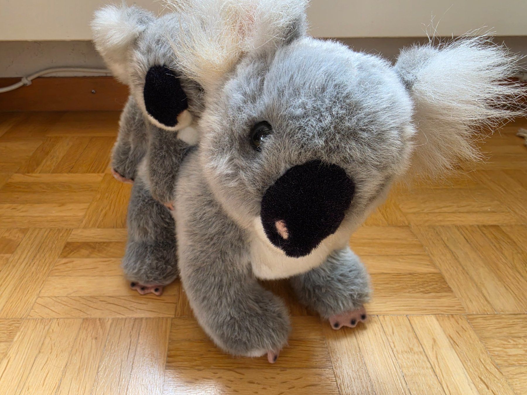 Giocattoli: Plüschtier Koala – Usato da Stäfa venduto da flamingo_17 1