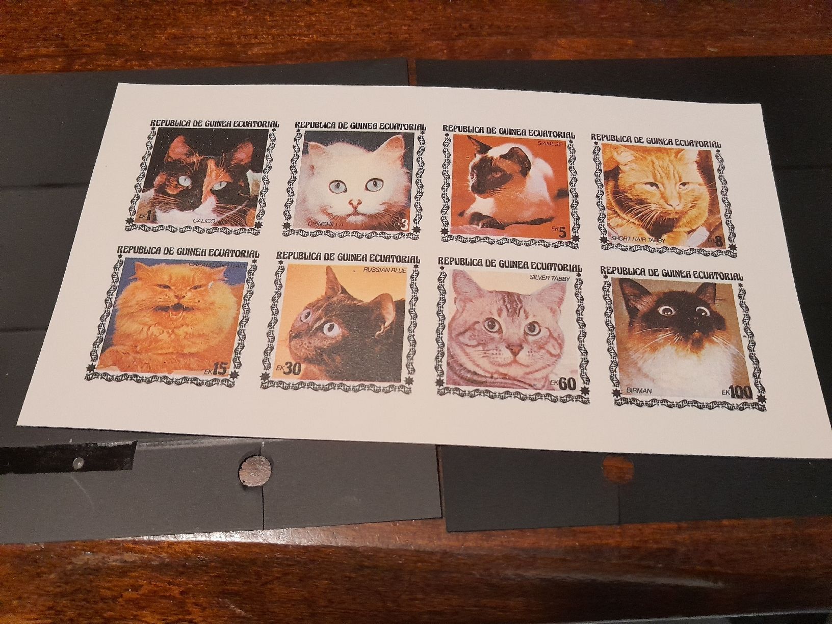 Tutti i francobolli: Bloc de 8 timbres de Guinée Équatoriale, chats ! – Nuovo (secondo la descrizione) da Marly venduto da globetrotter1723