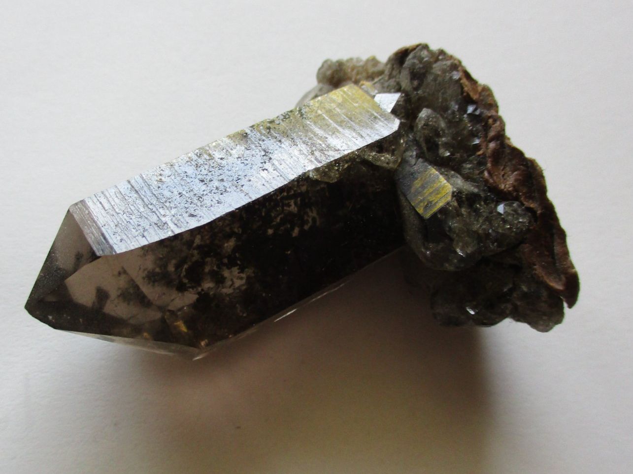 Minerali & Pietre curative: Quartz Fumé Naturel – Usato da La Sarraz venduto da plu_v9cf 1