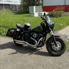 Profile image of selim130862