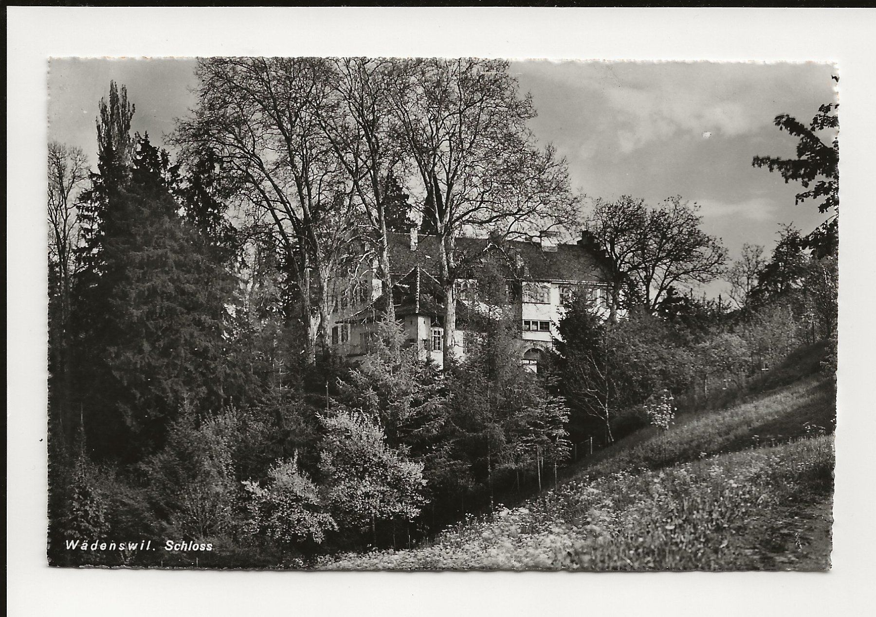 Ansichtskarten: AK  ca. 1950 Wädenswil Schloss – Gebraucht aus Greifensee von 315WDO