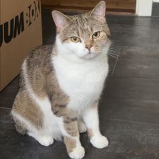 Profile image of flo_rf2n