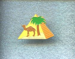 CAMEL