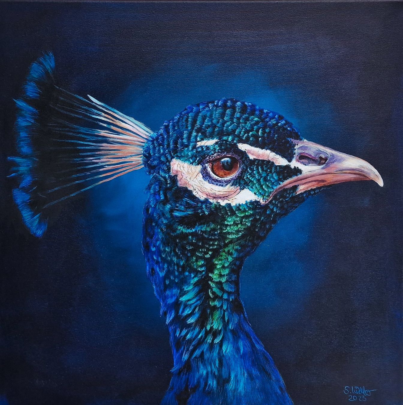 Dipinti: Originales Gemälde: Pfau - 50 x 50 cm – Nuovo e nell'imballaggio originale da Tägerwilen venduto da Simone_Widler_Art
