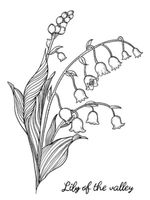 Silikonstempel Nr.647, Blume, Maiglöckchen