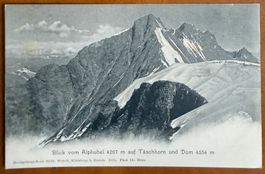 Saas - Fée - Alphubel auf Täschorn und Dom - AK