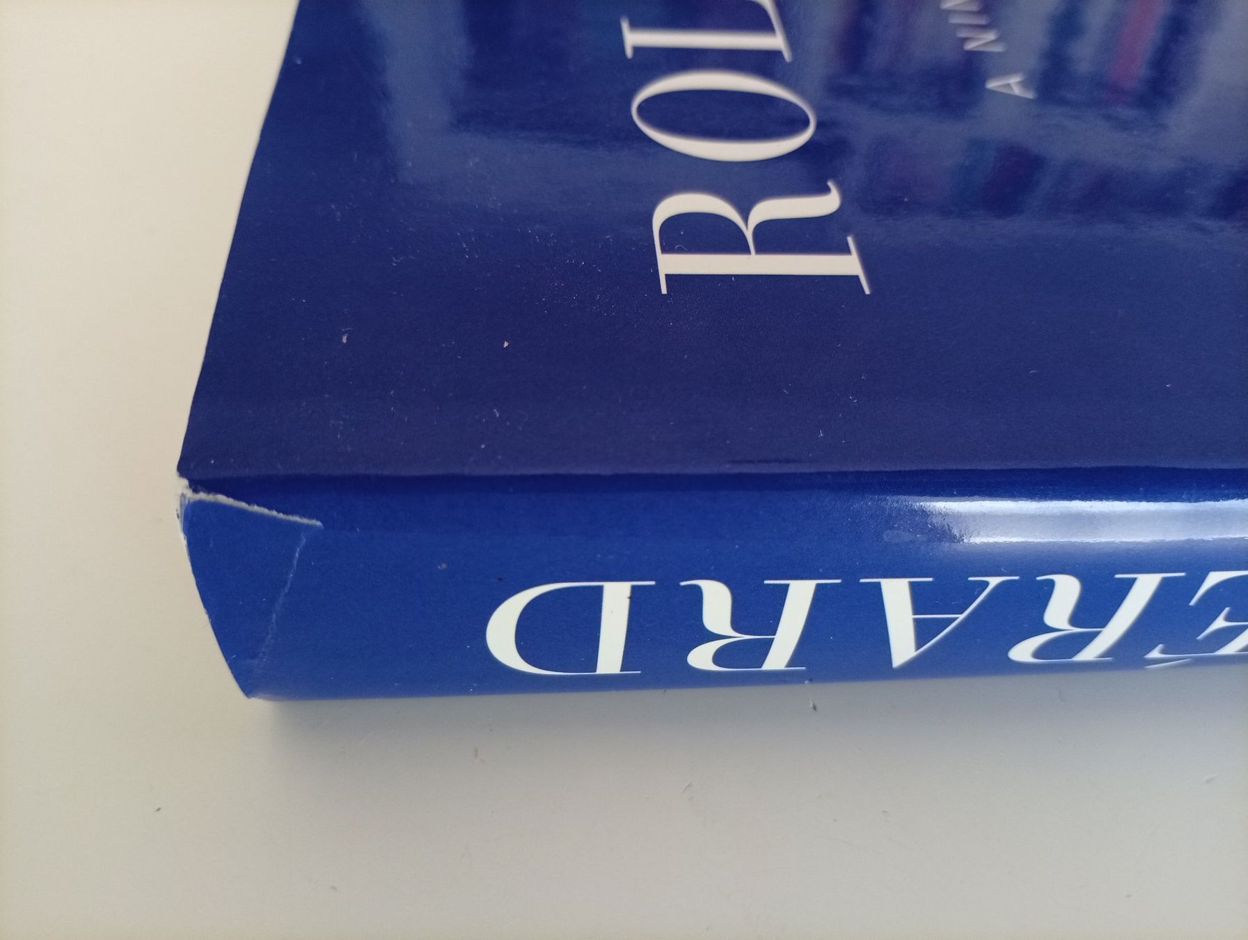 Livres: Rolf Gérard a Ninety - Year Visual Diary – D'occasion à Locarno par edn.vintage 8