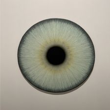 Profile image of Xsell