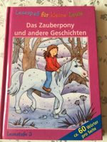 Kinderbuch „Das Zauberpony und andere Geschichte