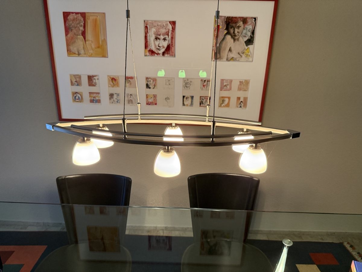 Lampadari & plafoniere: Decken Lampe höhenverstellbar – Usato da Solothurn venduto da allroad01 1