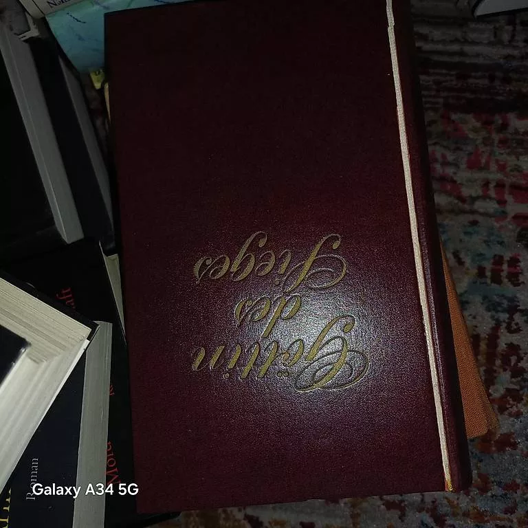 Libri: Alte Buches  – Usato da Arbon venduto da ferrari2012 4