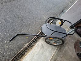 Veloanhänger für Kinder, viel Platz für Ausflüge!