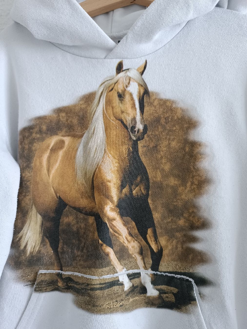 Maglioni & Felpe: Pullover / Hoodie Mädchen 128 – Usato da Binz venduto da julijuli 1