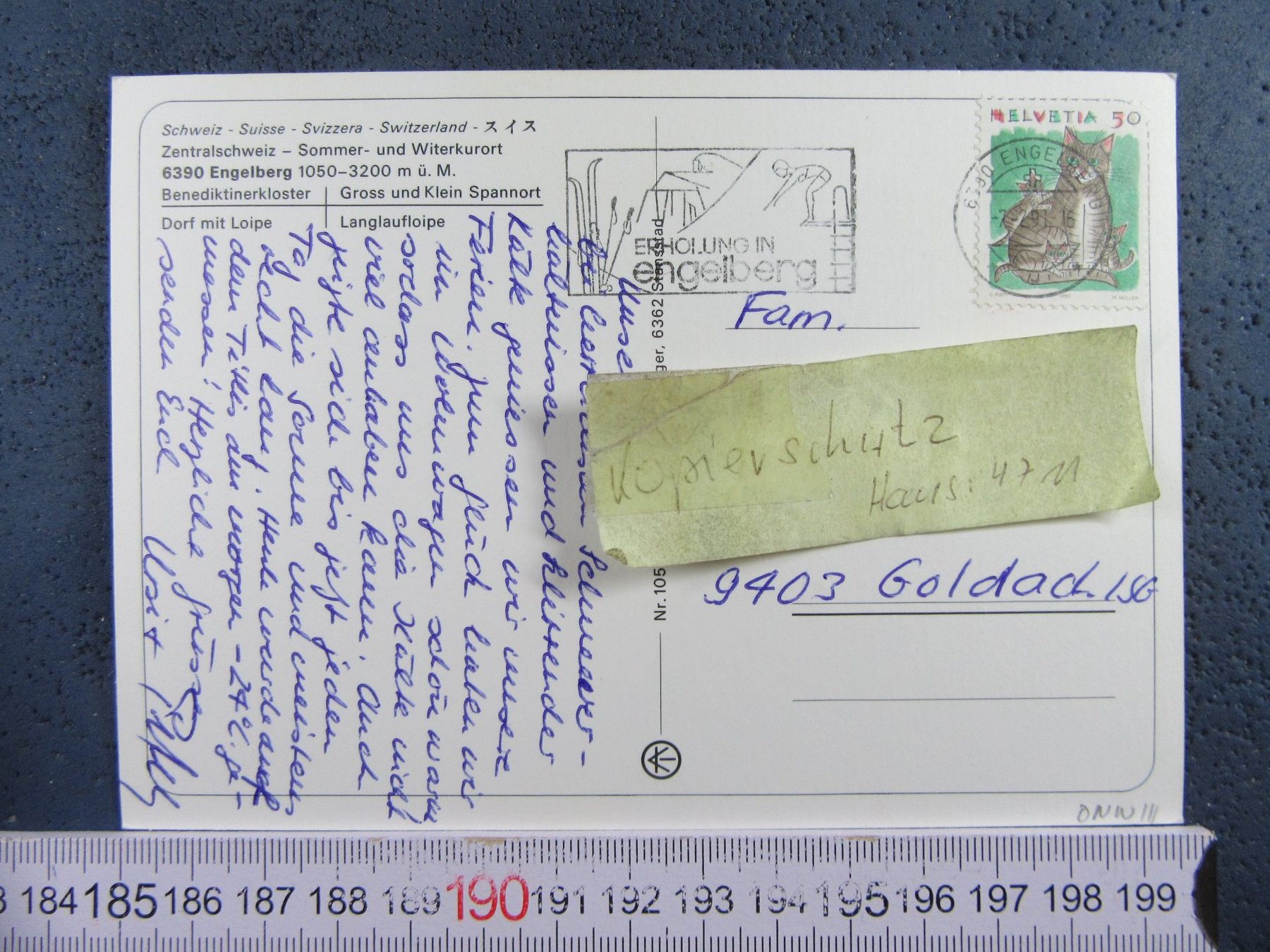 Cartoline postali: ENGELBERG LANGLAUF AK ONW – Usato da Ettingen venduto da Hausi4711 1