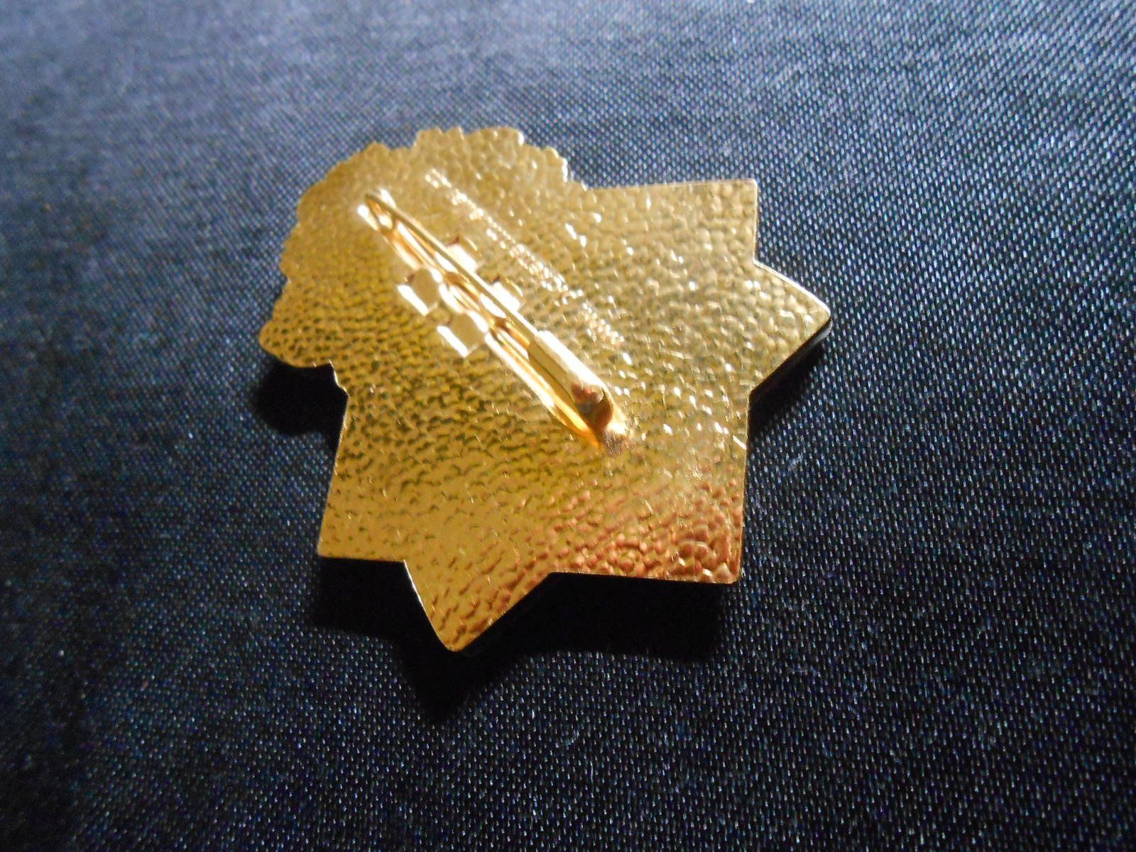 Medaillen: Basler Fasnacht "Blaggedde" 2010 - Gold – Neu (gemäss Beschreibung) aus Hallwil von pkaiser44 1