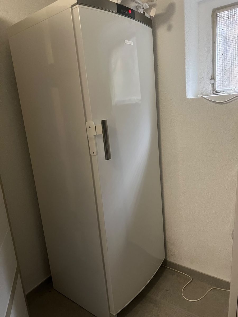 Congélateurs: Gefrierschrank Electrolux  – D'occasion à Villmergen par valen02