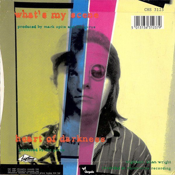 Vinyles: Hoodoo Gurus: What's My Scene 7" – D'occasion à Steinhausen par Vilivinili 1