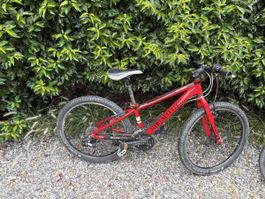 Kindervelo MTB Cyletech 24 leicht