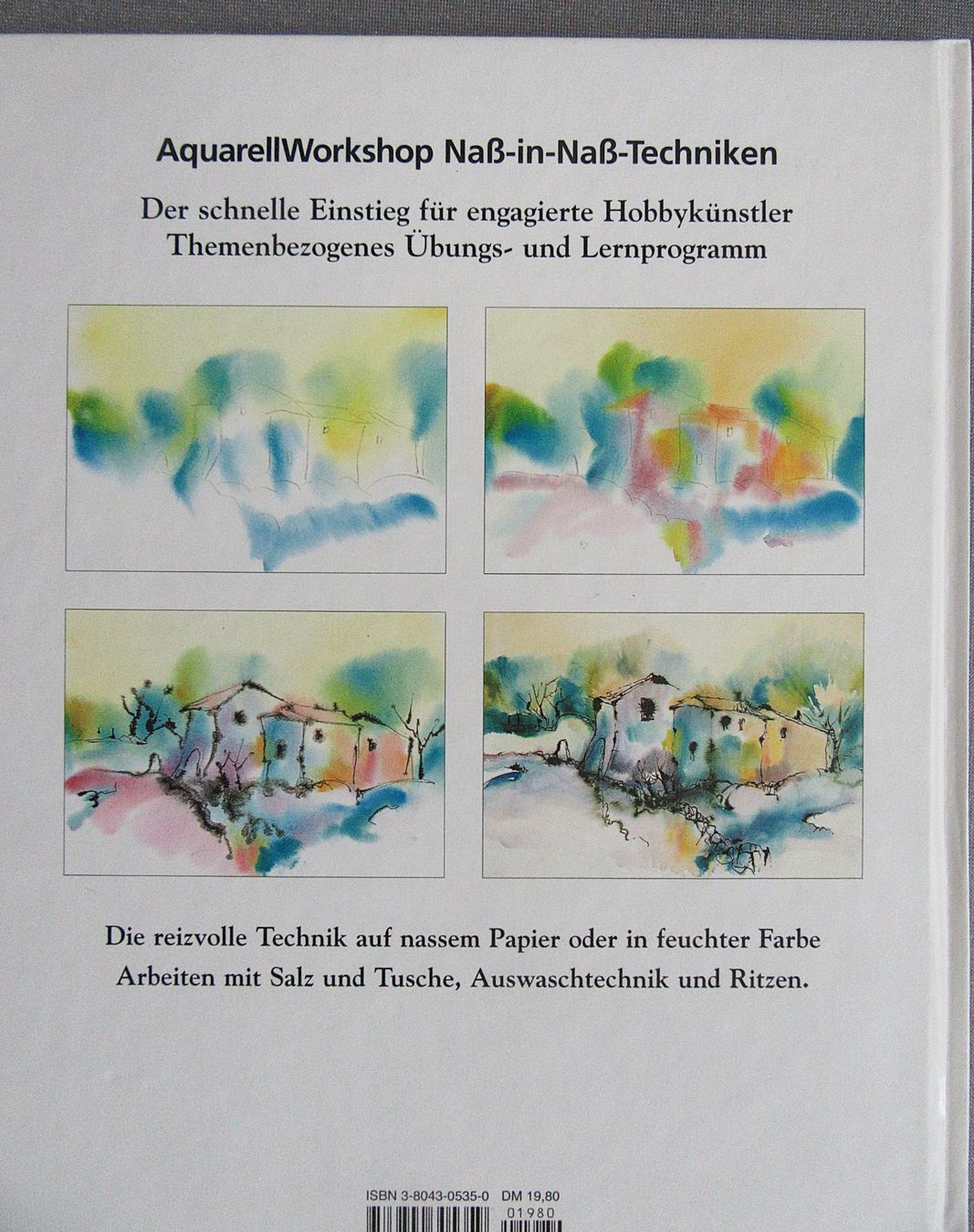 Libri: Nass-in-Nass Techniken • Aquarell Workshop – Usato da Auenstein venduto da Padabimbim 1