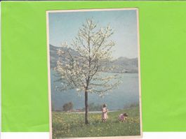 Pro Infirmis: Am Lowerzersee