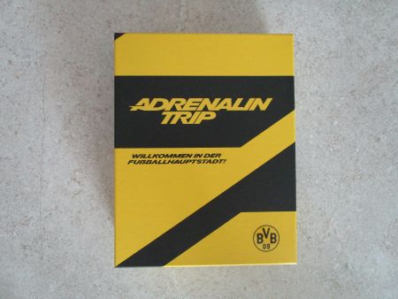 Schal/Foulard, Fan-Schal von Dortmund