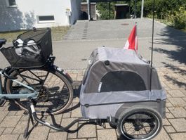 Veloanhänger Kettler für Hunde