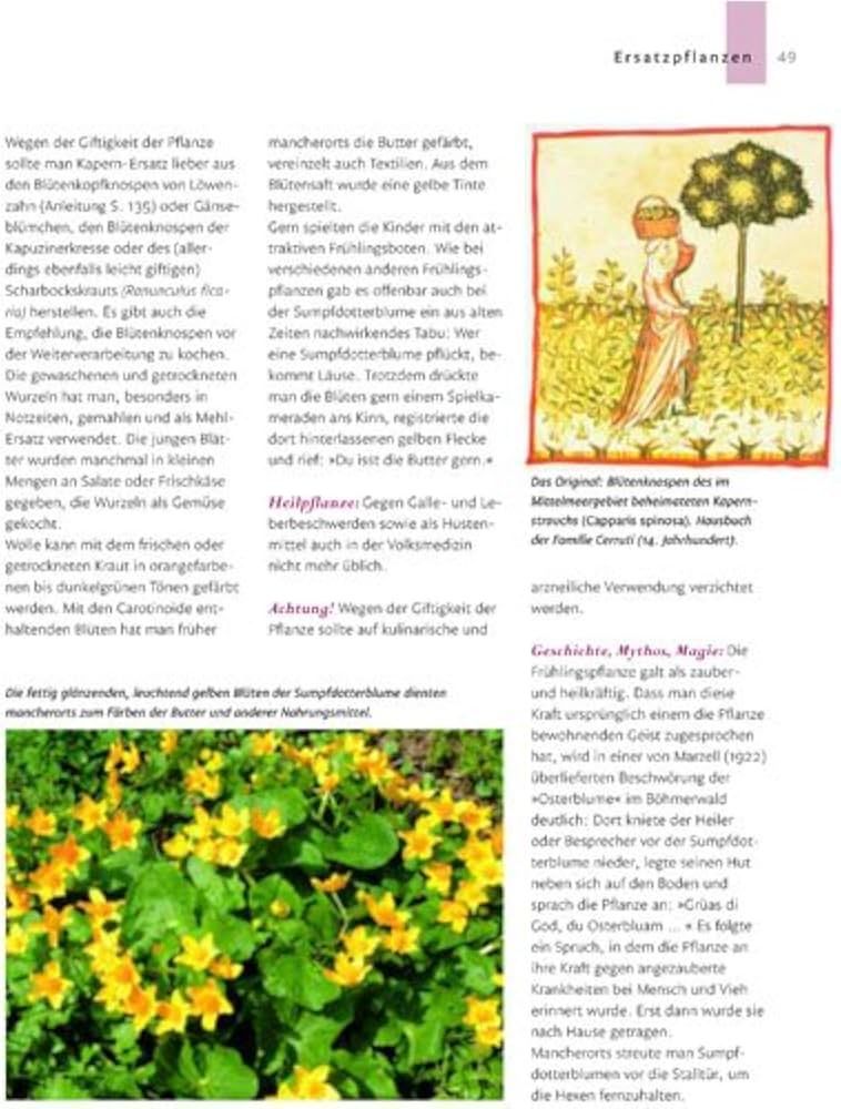 Bücher: Alte Nutzpflanzen wieder entdeckt – Neu (gemäss Beschreibung) aus Schaffhausen von Reporter 2