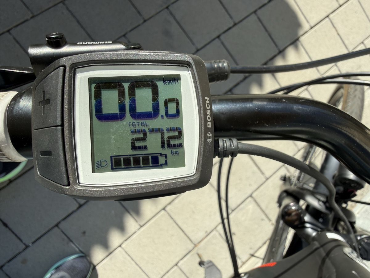 Bosch Biciclette: Viper E-Bike mit Bosch Active Line Motor – Usato da Oberentfelden venduto da bbe_nk5x 4