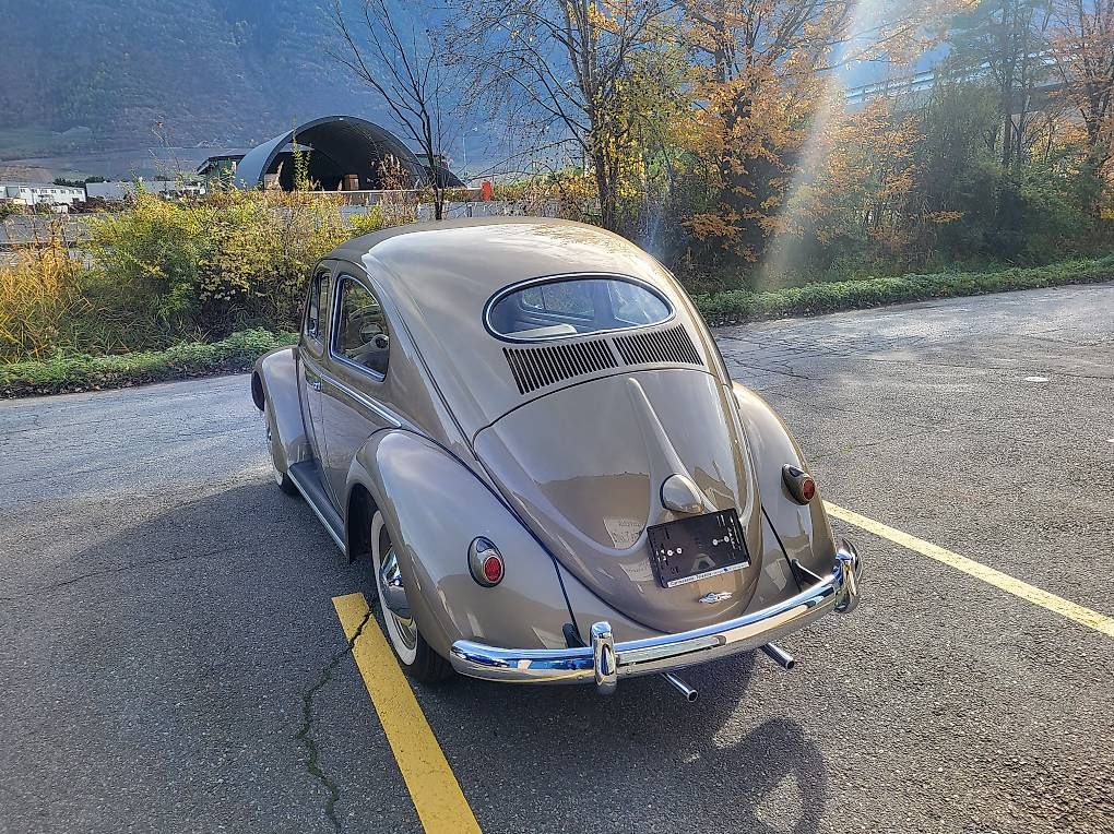Automobili: Volkswagen Käfer Ovale – Usato da Fully venduto da Luvi 2