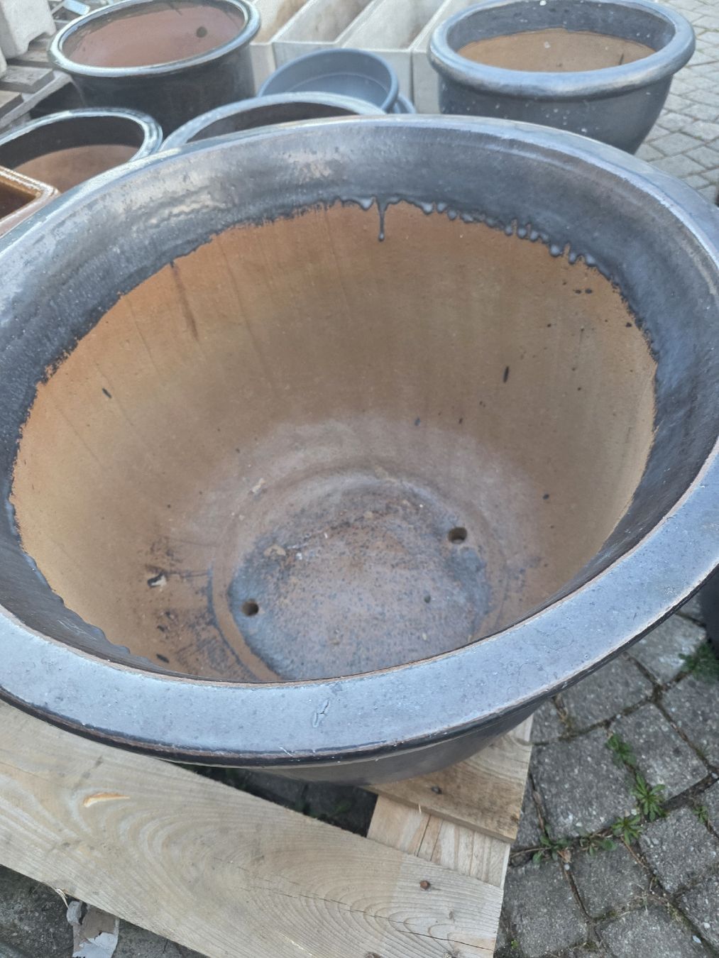 Pots de fleurs: Blumentopf – D'occasion à Chur par beni048 3