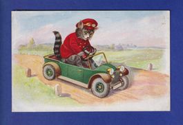 CHAT - Chat en voiture // voir dos //