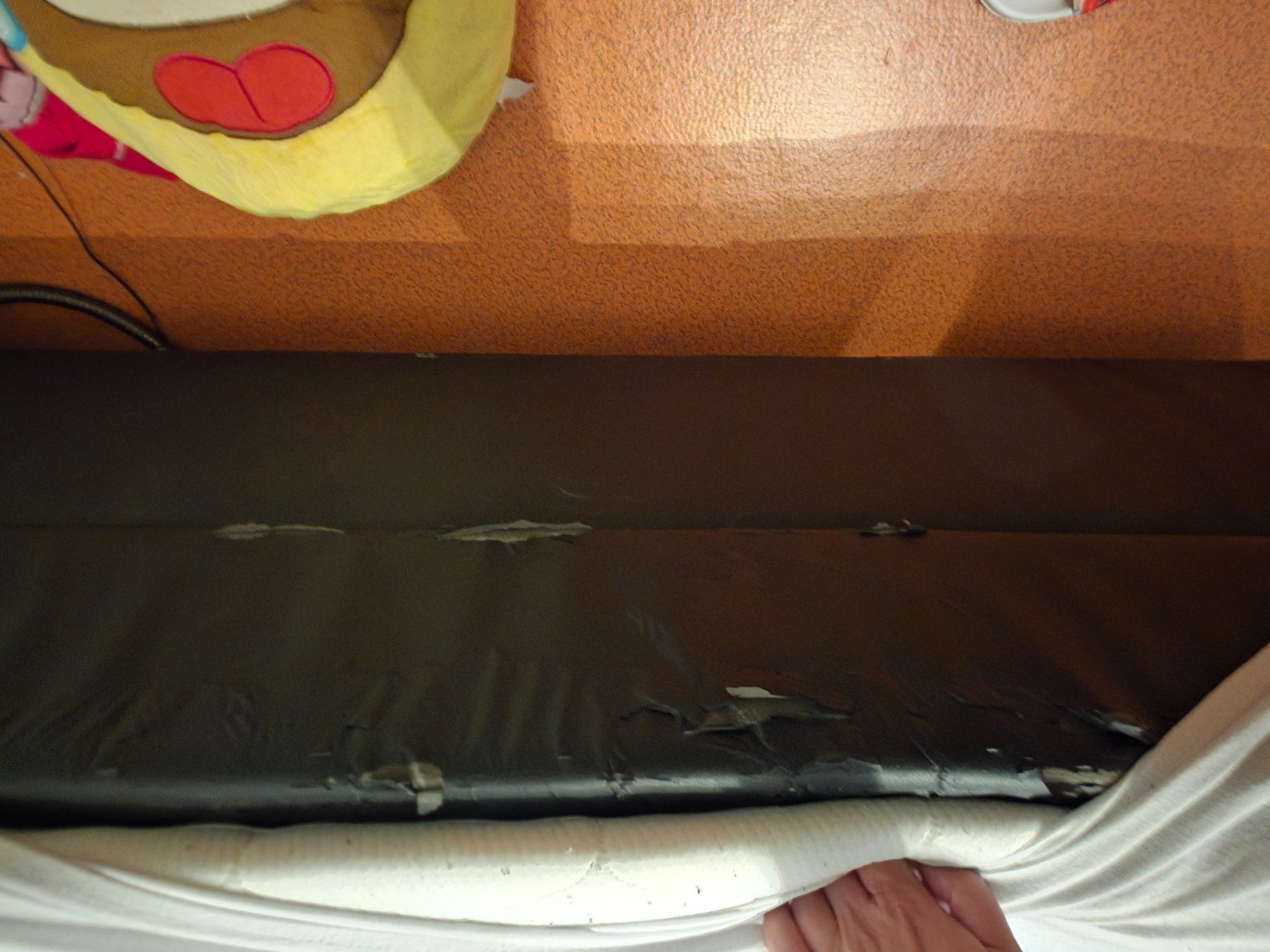 Letti: Boxspringbett ohne Topper – Usato da Brugg AG venduto da rup_55tj 3