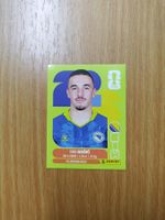 Panini WM 2026 Sticker - BIH 12