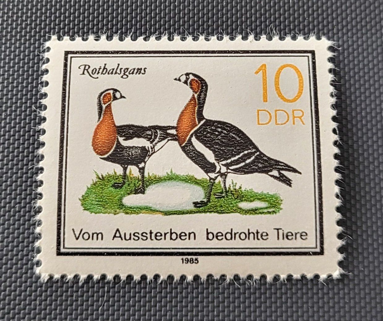 Tutti i francobolli: DDR 1985 briefmarke – Nuovo (secondo la descrizione) da St Gallen venduto da Stampsalshobby
