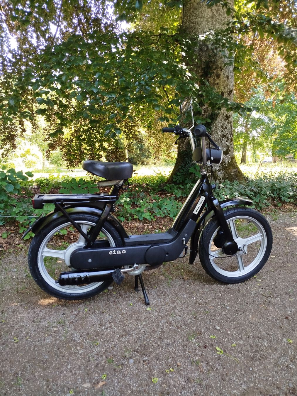Piaggio Ciclomotori: Piaggio Ciao Mofa – Usato da Schaffhausen venduto da Viertelvorvieri 1