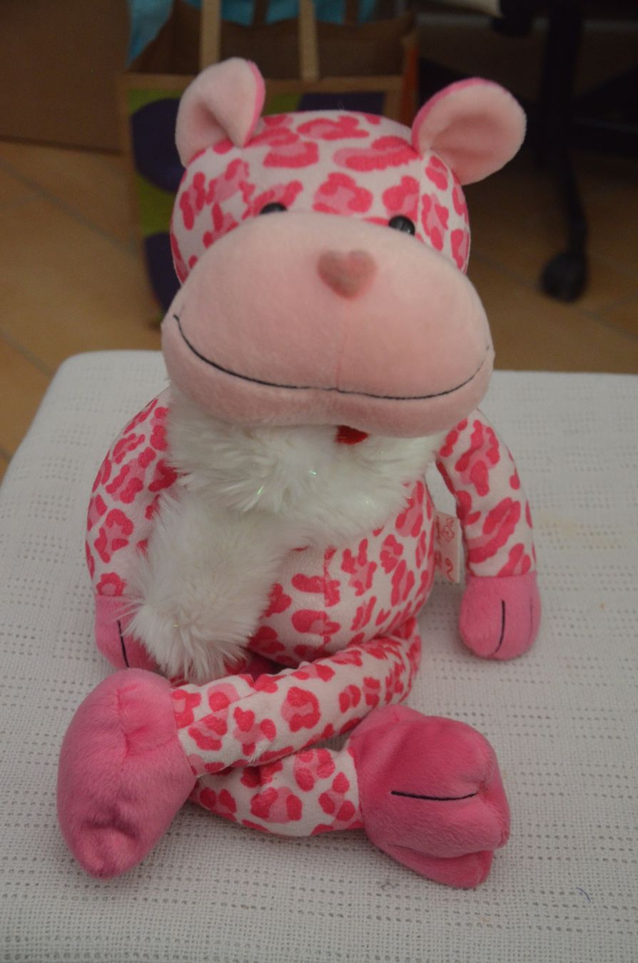 Giocattoli: PELUCHE - CM 50 – Usato da Chiasso venduto da Dolly015
